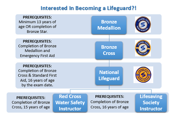 Lifesaving Bronze Medallion & CPR-C - University of Lethbridge Community  Programs Portal