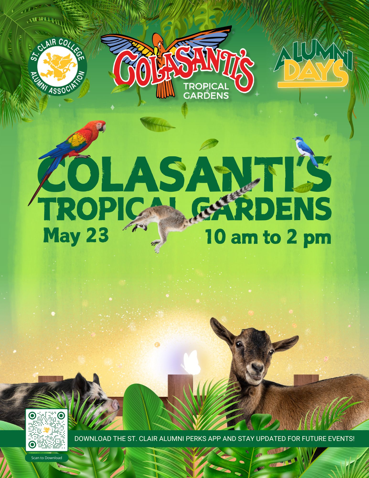 Alumni Day at Colasantis