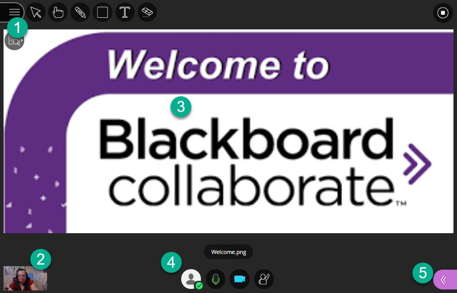 Blackboard Collaborate main screen