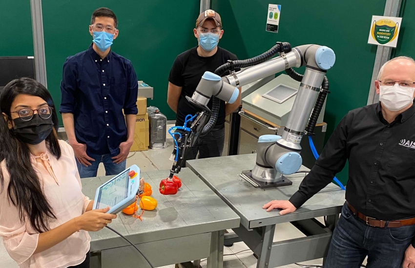 St. Clair students Khushboo Patel, left, Yu Wang and Ulises Martinez are working with adjunct professor Nick Dimitrov, right, to automate sweet pepper packaging for a Leamington greenhouse.