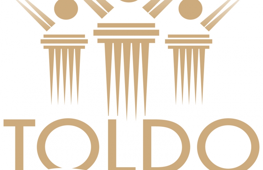 Toldo Foundation logo