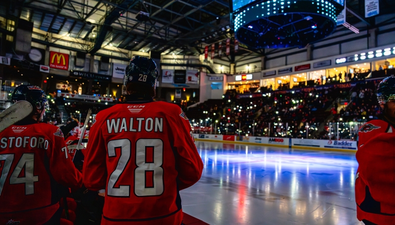 Behind the bench shot of Spitfires facing ice in darkened arena