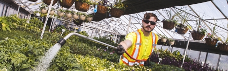 Student watering plants in a greenhouse