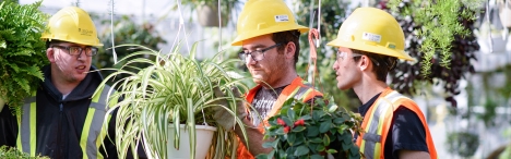 3 students holding plants in greenhouse.